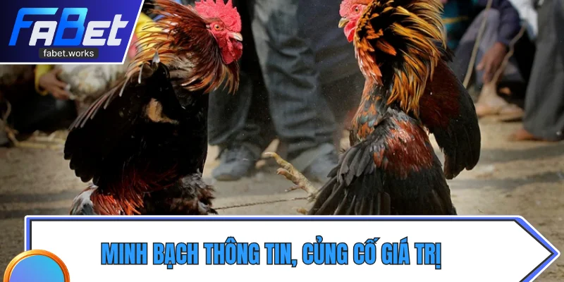 Minh bạch thông tin, củng cố giá trị